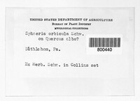 Image Associated With the Occurence